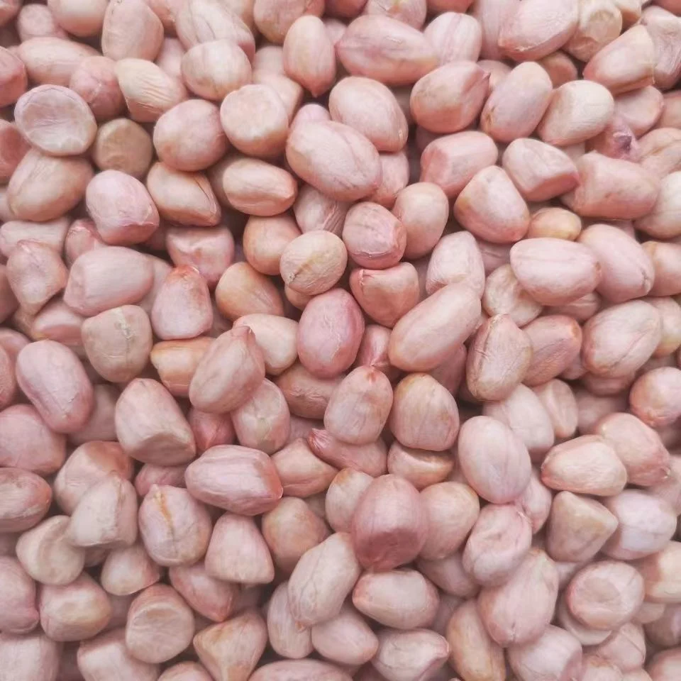 Food Grade Health Food Groundnut Kernel 24/28