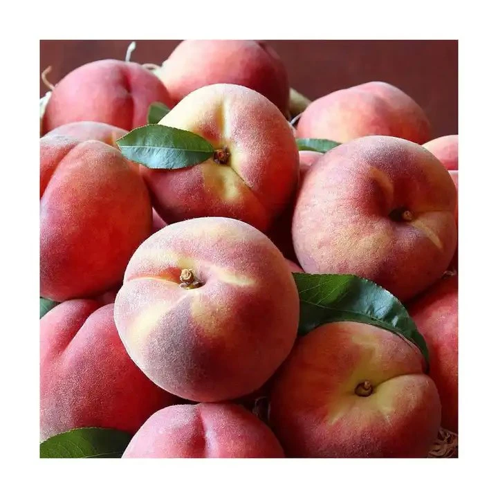 High quality/High cost performance  Supply Natural Herbs Decorticated Persicae Semen Peach Kernel Peach Seeds