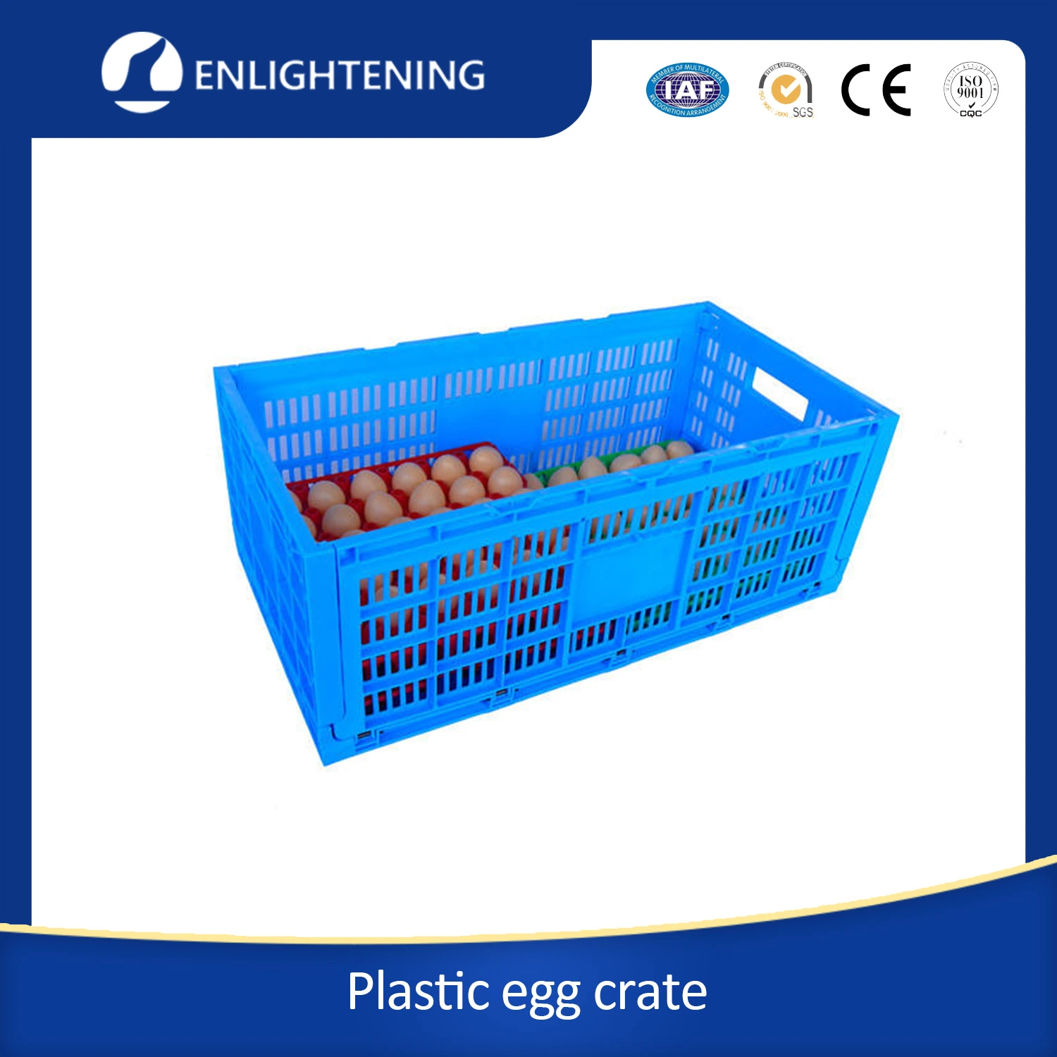 High Quality Large Mesh PE Durable Plastic Egg Tray Plastic Egg Crate for Supermarket