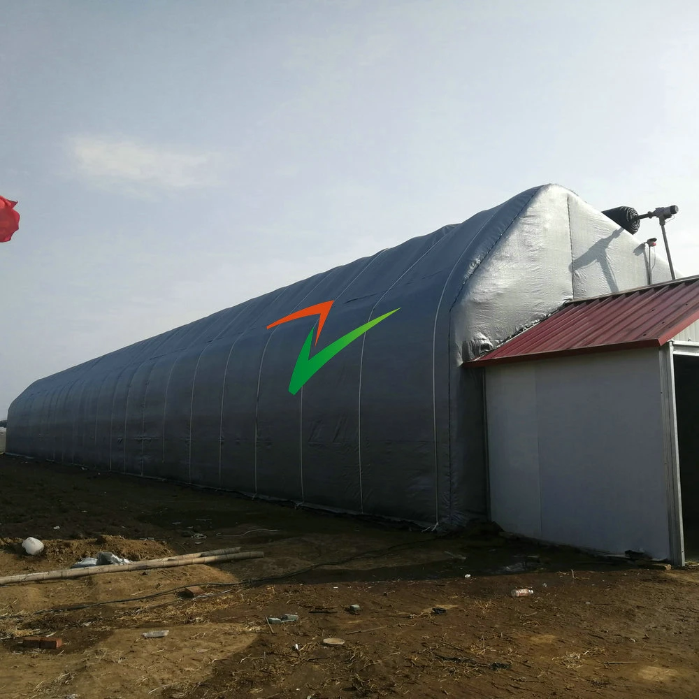 Easily Assembled Plastic Film Winter Solar Greenhouse From China