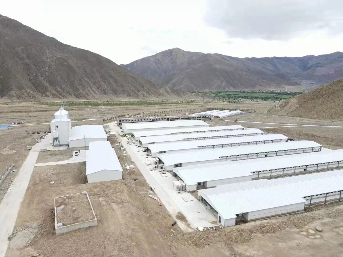 Granja avícola el doble de plantas de estructura de acero de la casa