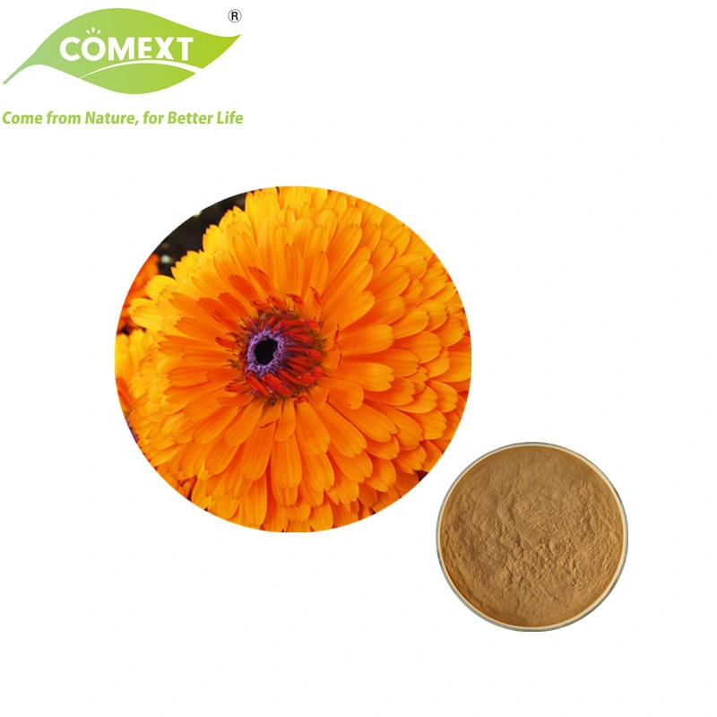 Comext USA Warehouse Health Produkt 10: 1 20: 1 Halten Sie Beauty Vitamine Calendula Flower Extract
