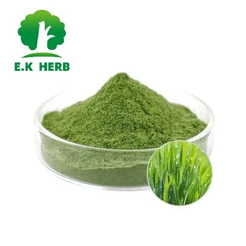 E. K Herb Hot Sale High Quality and Health Care Barley Seedling Fresh Juice Powder