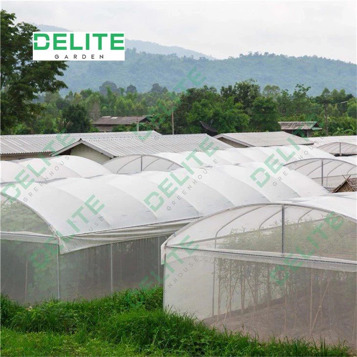 Edificio prefabricado de 10 pies de la flor de la casa túnel L Polytunnel Herramientas de jardín invernadero creciente