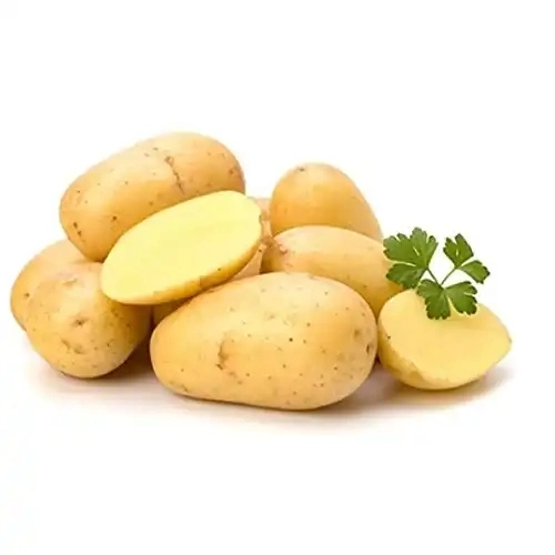 Organic Fresh Potatoes From China High quality/High cost performance Yellow Color Weight Long Shape Fresh Vegetable Potato