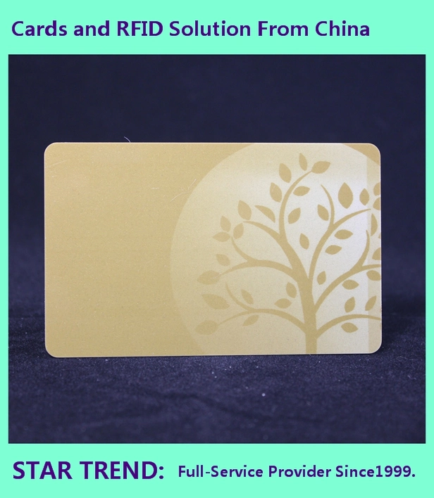 Customized Plastic Smart RFID Card Used as Membership Card, Business Card, VIP Card, Game Card, Gift Card, Plastic Smart RFID Card, NFC Card, RFID Tag