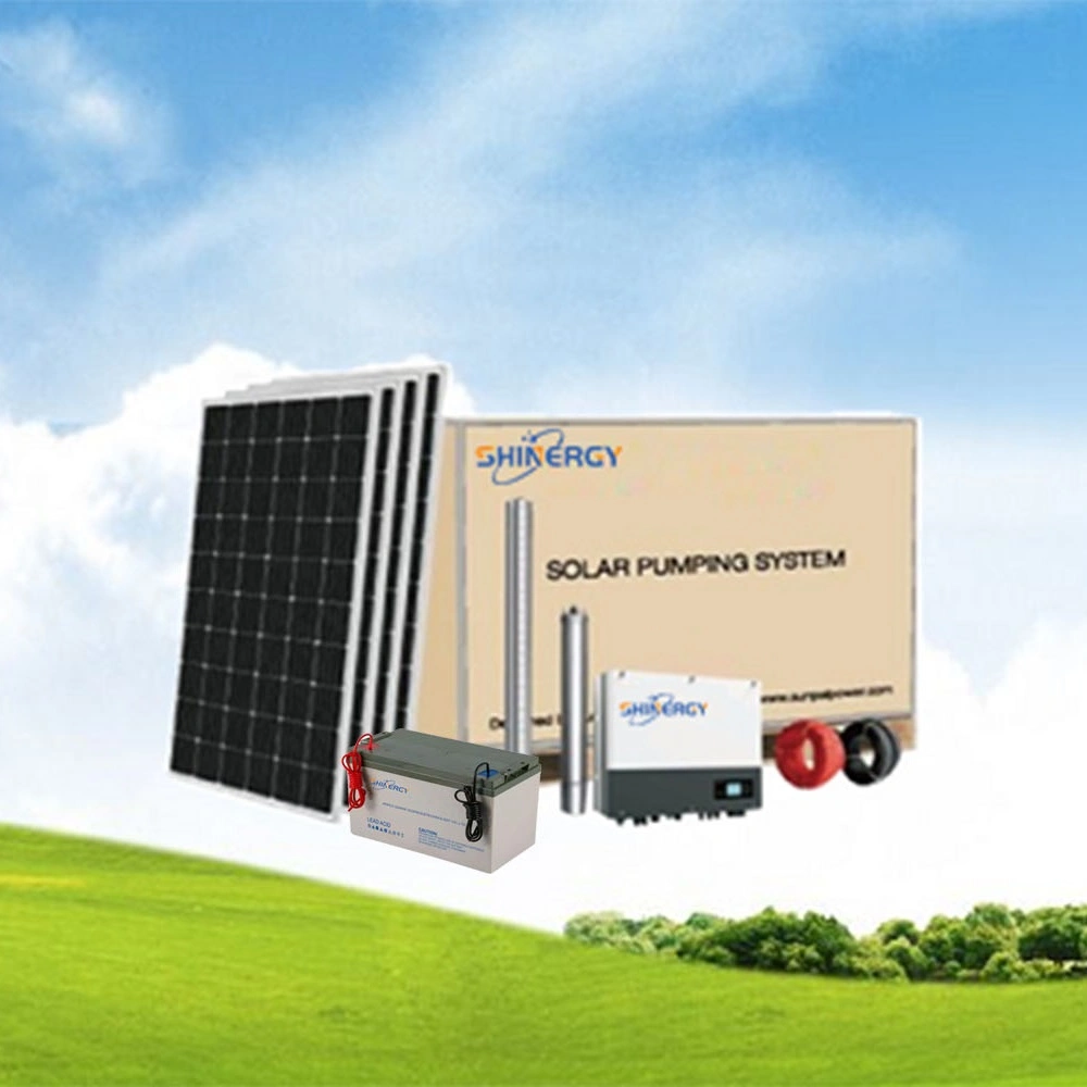 Solaranlage Off-Grid 2kw 24V 48V Hybrid-Wechselrichter mit MPPT Solar Controller EU Standard, US Standard 110V 220V 240V Ausgang Sonnensystem