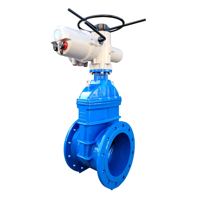 Cast Steel BS5163 Rising Stem BS En1092 En558-1 Electrical Actuatoe Gate Valve