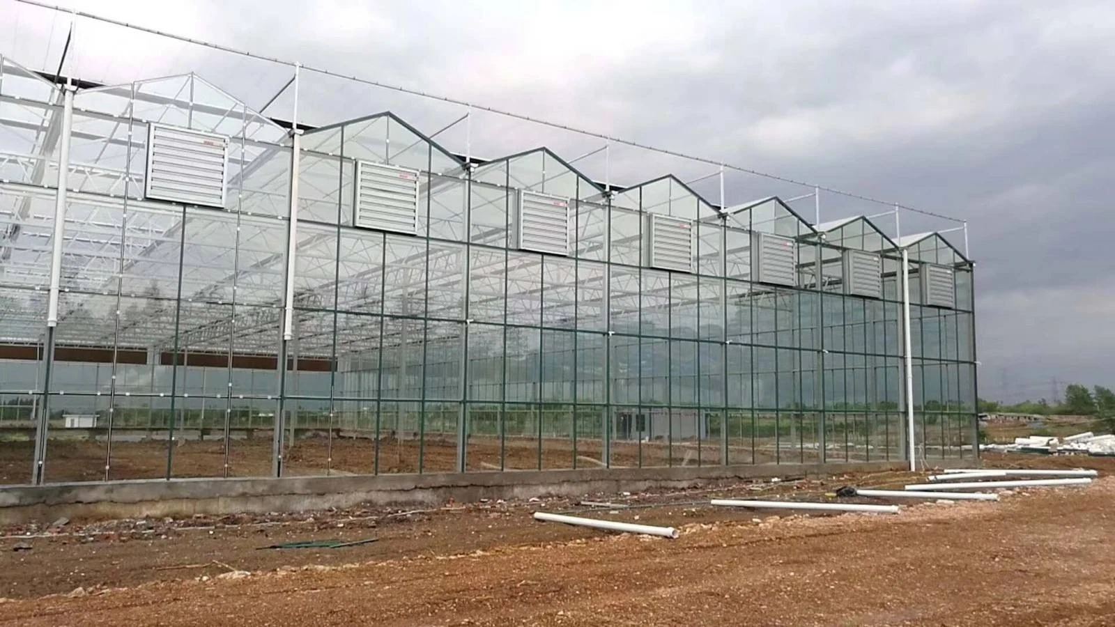 Glass Green House Greenhouse Manufacturers with Temperature Control System/Fan/Seedbed/External/Internal Shading