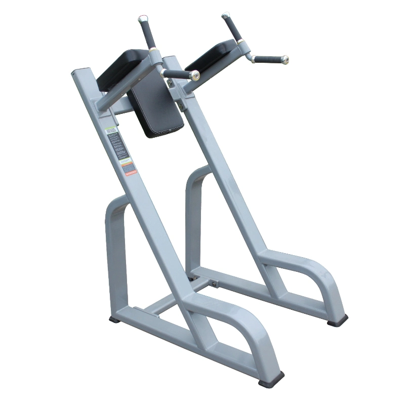 Best Exercise Fitness Equipment Vertical Kness up/DIP for Gym (AXD-8047)