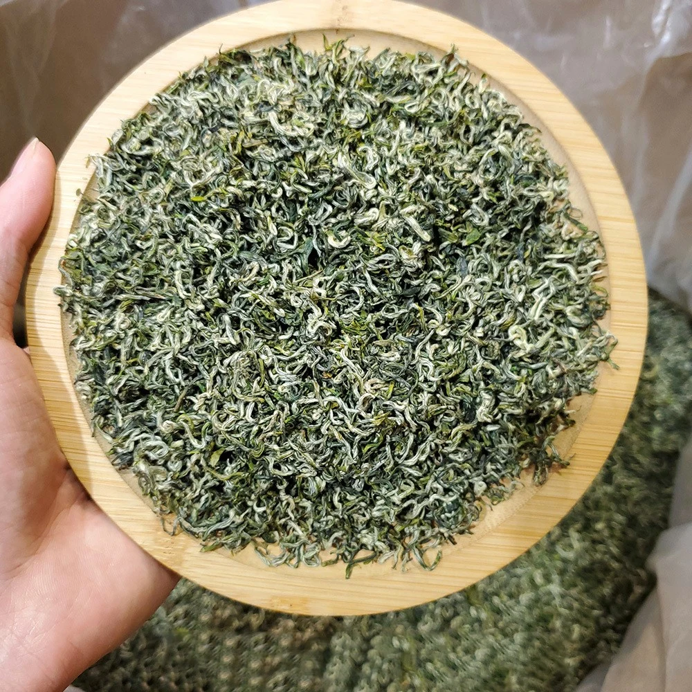 A Grade Biluochun Green Tea Leaves China Loose Leaf High Mountain Tiny Bud