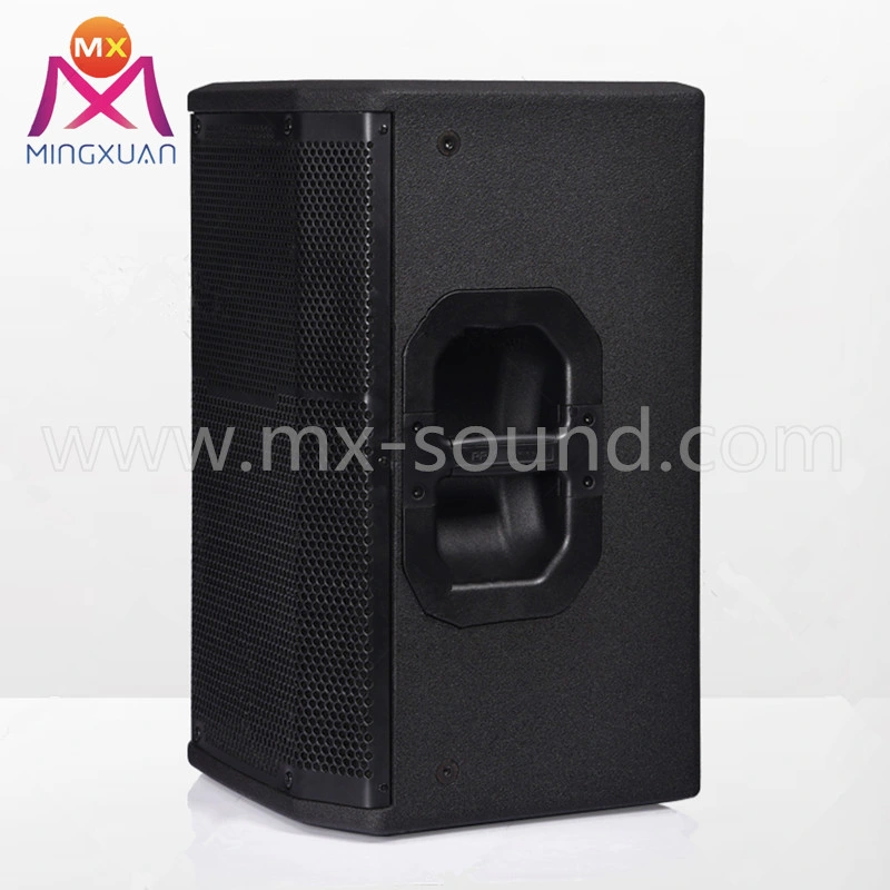 1000W Professional Speaker for Outdoor Sound System