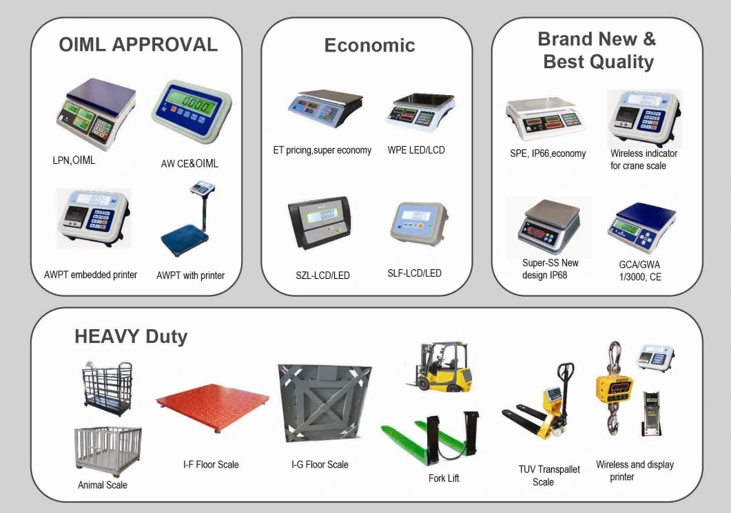 OIML Approval Industrial Scales Counting Scale (LCN-15kg)