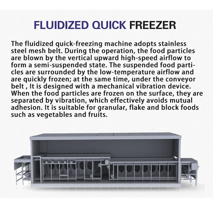 TCA machine de congélation rapide automatique de haute qualité pour congélateur à flash Blast Tunnel IQF lit fluidisé congélateur Mango