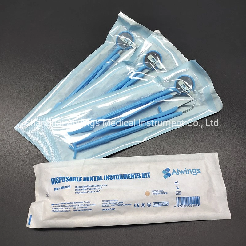 Dental Instruments Disposable Dental Instrument Kit in 3-Piece