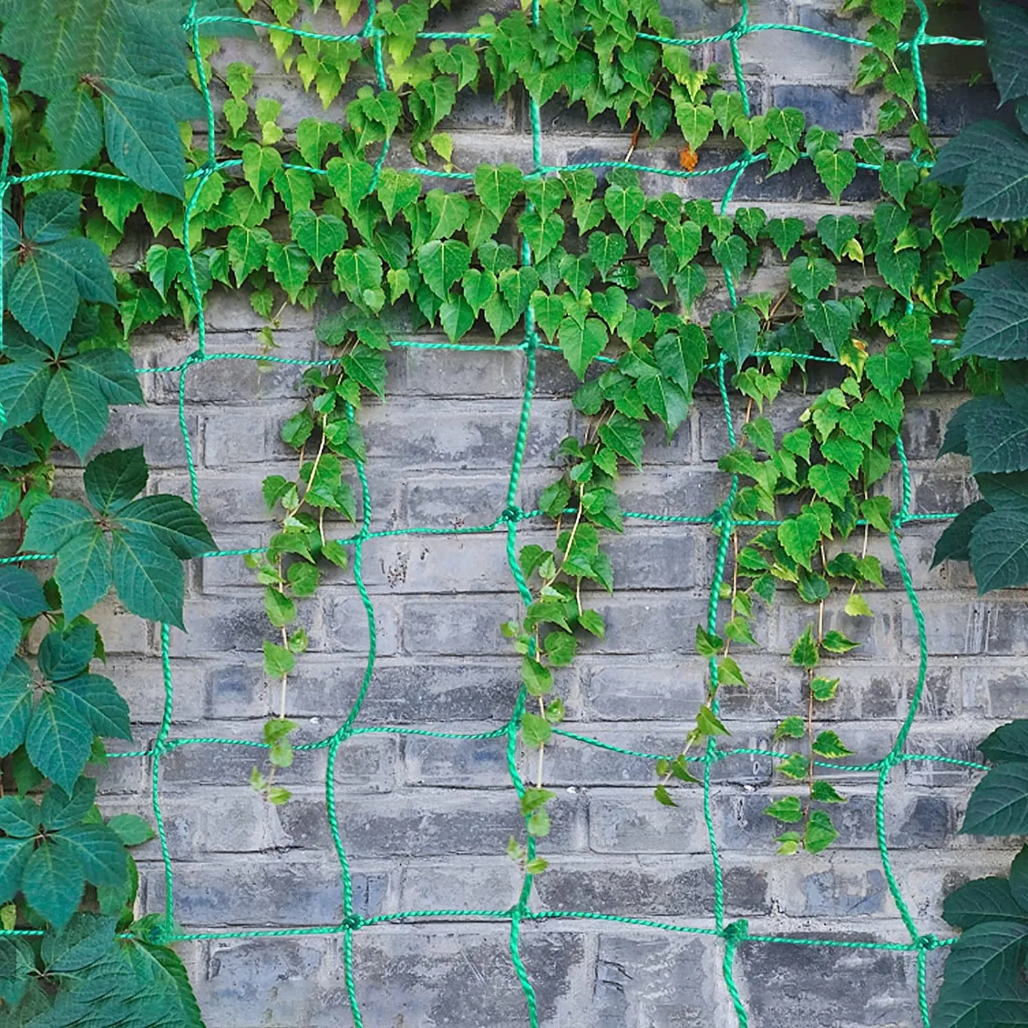 100% Virgin HDPE Nylon Anti- Bird Nets Garden Plant Trellis Flexible Scalable Vine Plant Climbing Garden Netting for Fruit Vegetable Tomato Plants