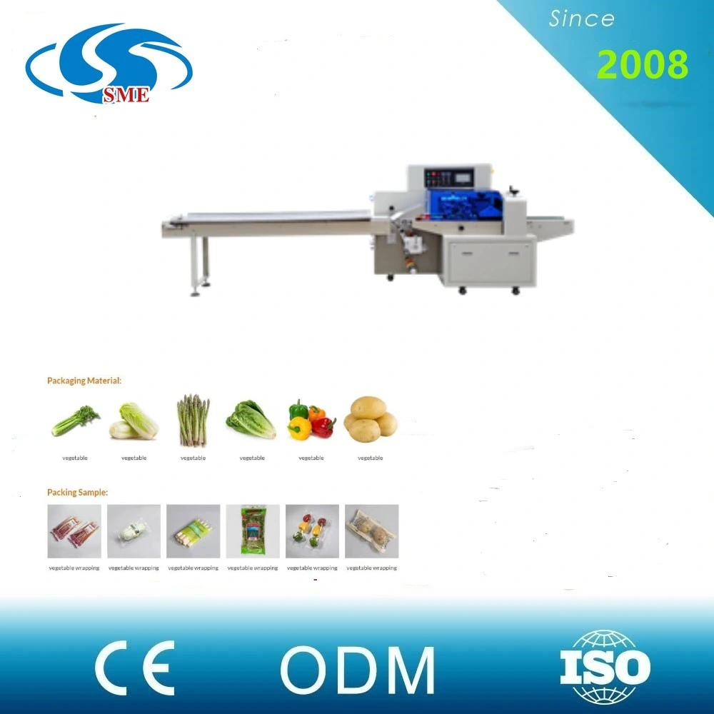 Automatic Food/Hardware/Electronic Product/Tool/Stationery/Toothpaste Plastic Film Pillow Flow Type Packing Machine