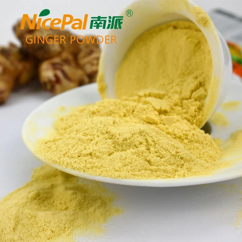 Spray Dried Ginger Powder with Good Solubility