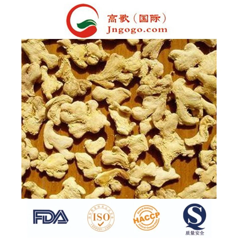 Top Quality Dry Ginger Supplier Dehydrated Ginger