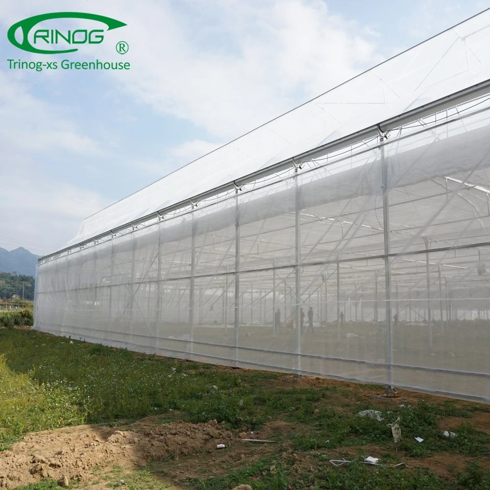 South Africa plastic film arch greenhouse for nursery young plant