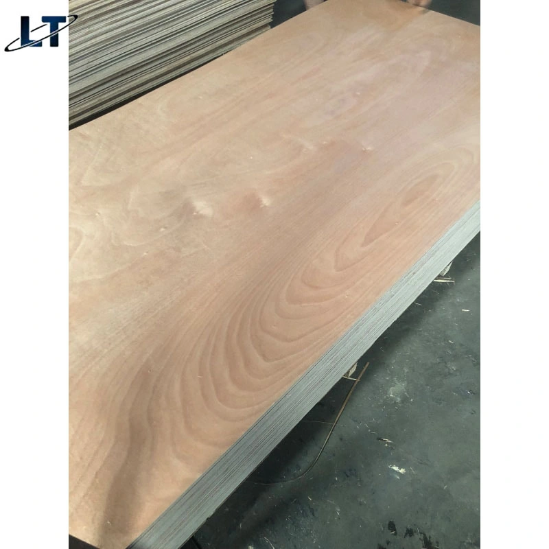 Linyimany Types Construction Decoration Maple Hardwood Wood Timber