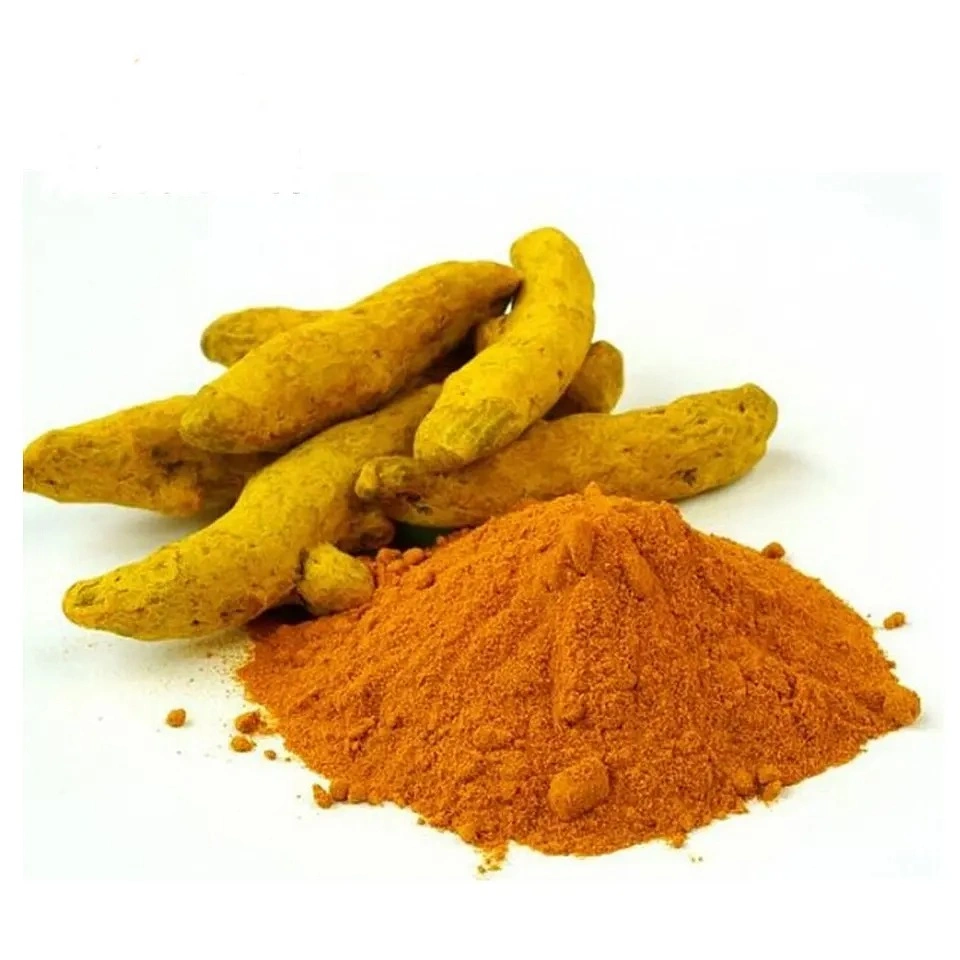Chinese Herbs Single Spicy Dried Yellow Turmeric Powder