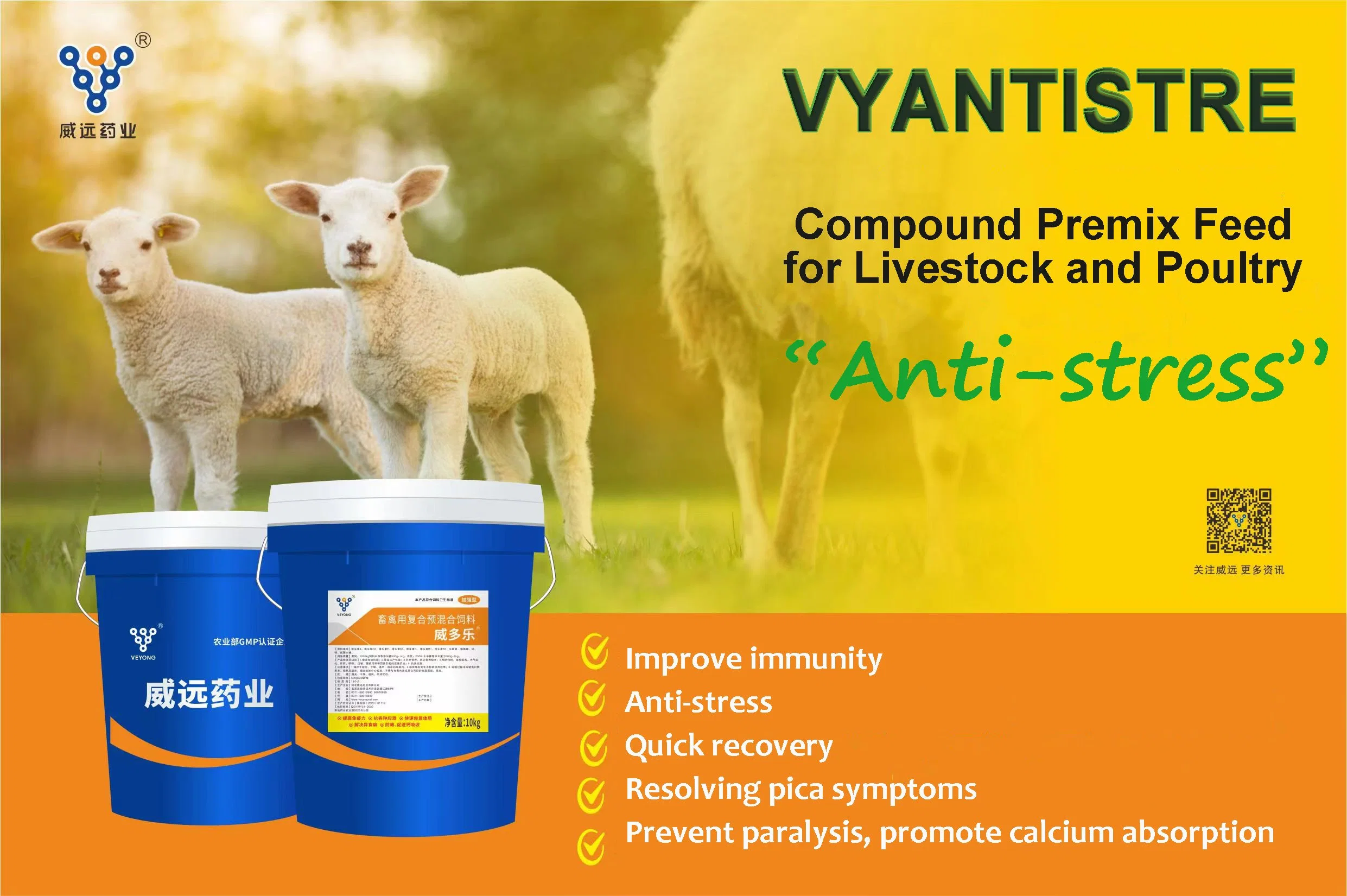 Compound Premix Feed für Schafe verbessern Immunität Anti-Stress Quick Recovery Zufuhradditiv