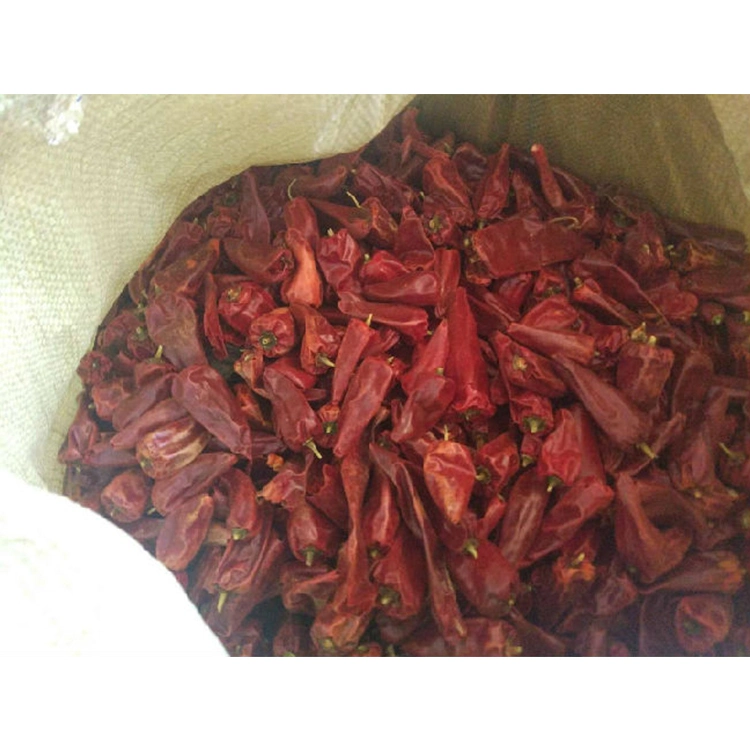 Chinese Cooking Condiments Dried Red Chili