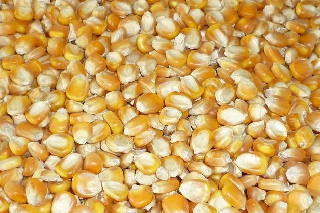 Industrial Tunnel Microwave Nuts Corn Grains Drying Machine