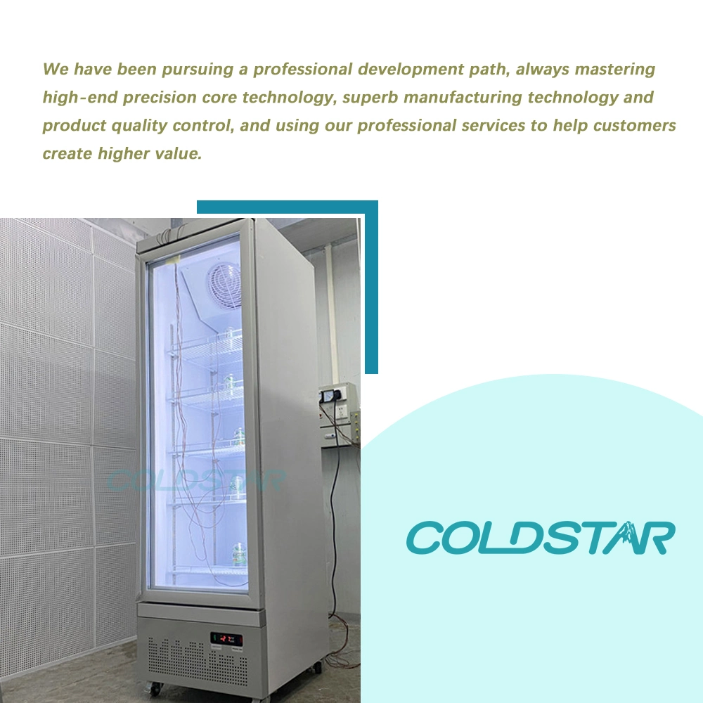 Refrigerator Commercial Direct Cooling Beverage Display Refrigerator Showcase