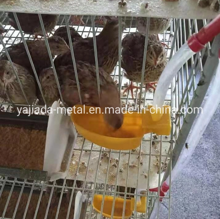 Poultry Famer Equipment Bird Cage for Quail