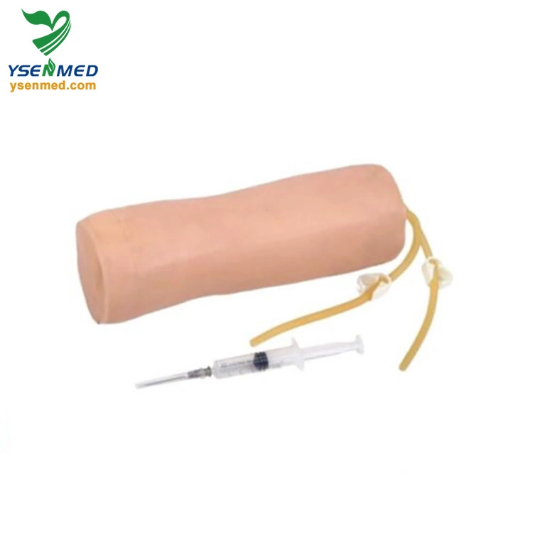 Medical Equipment Advanced Elbow Venipuncture Training Model Ysbix-HS10