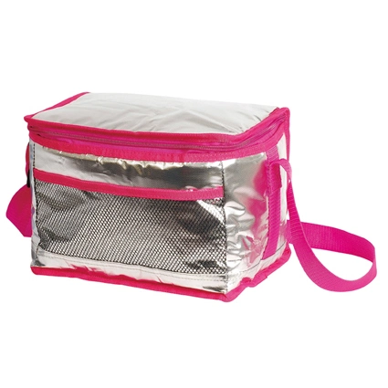 La superficie de color plata Shinny 25L de capacidad aislante térmico de Picnic de fruta de la bolsa de enfriador de lámina de agua potable