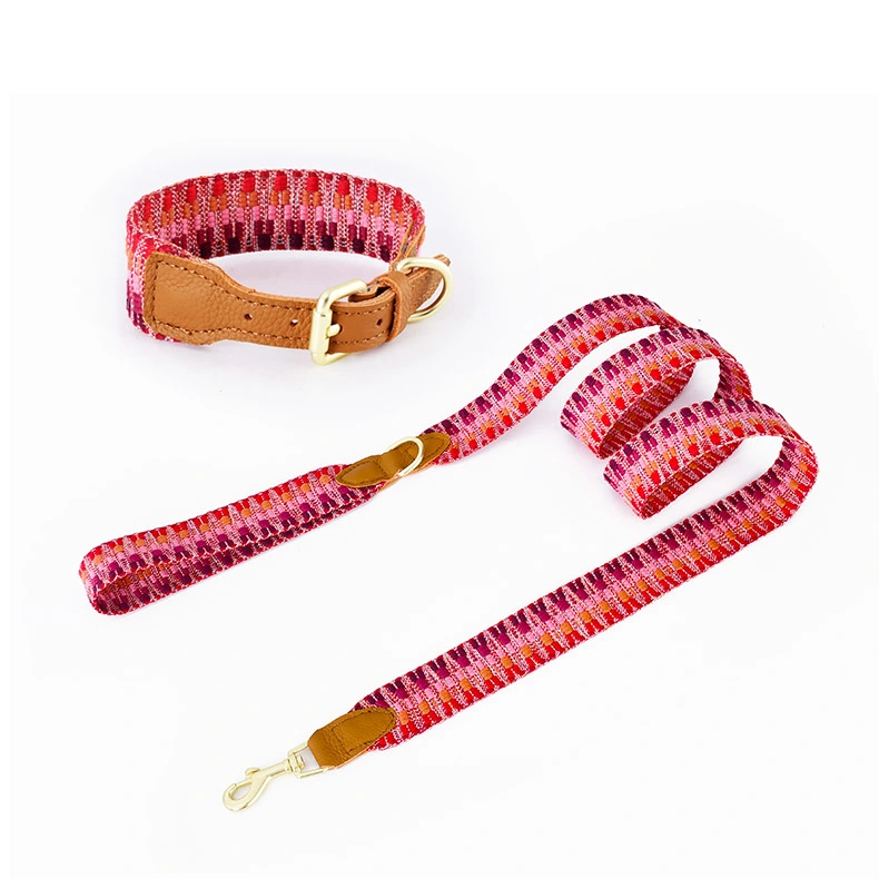 Colorful Nylon Webbing PU Leather Pet Collar and Leash Set