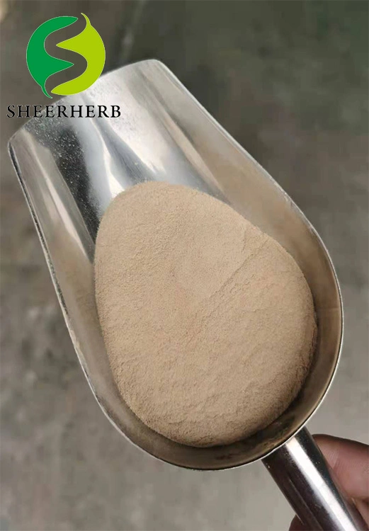 Hot Sale Top Quality Pharmaceutical Raw Estrogen Powder Pregnenolone