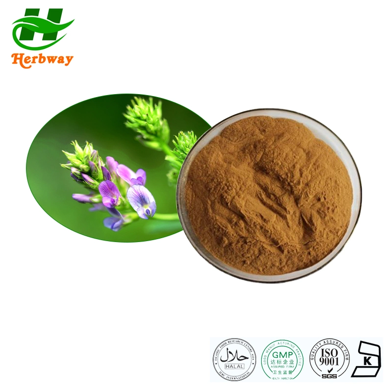 Herbway Kosher Halal Fssc HACCP Certified Free Sample Animal Feed Medicago Sativa Extract