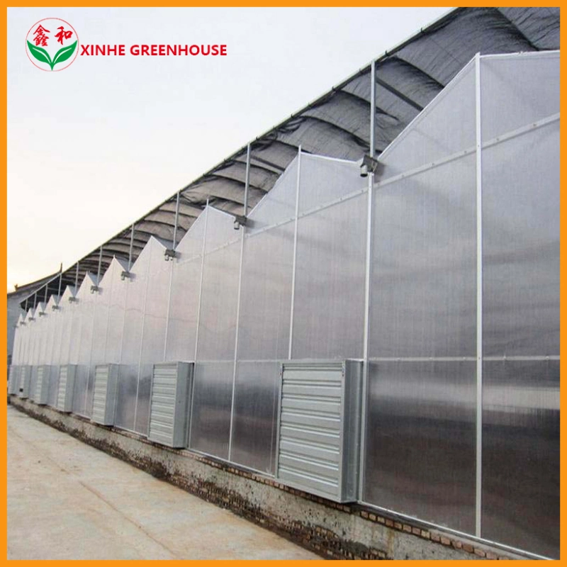 Nude or Carton Large Aluminium Sunshine House PC Sheet Greenhouse