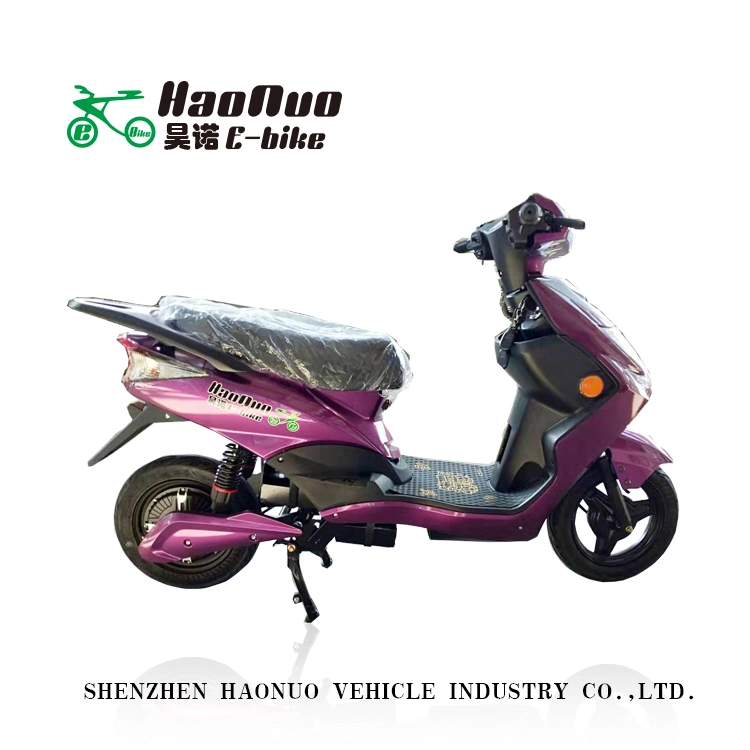 2020 Long Distance 10 Inch 60V 2 Wheel Electric Bike for Adult