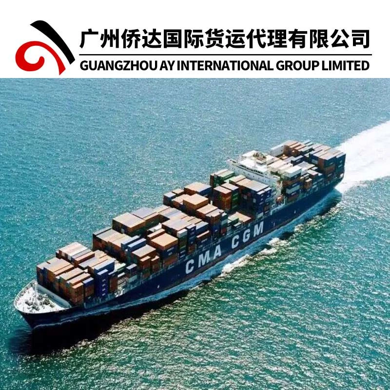 FCL&LCL Sea Freight From China to Dominica (Rio Haina/Santo Domingo) by Sea