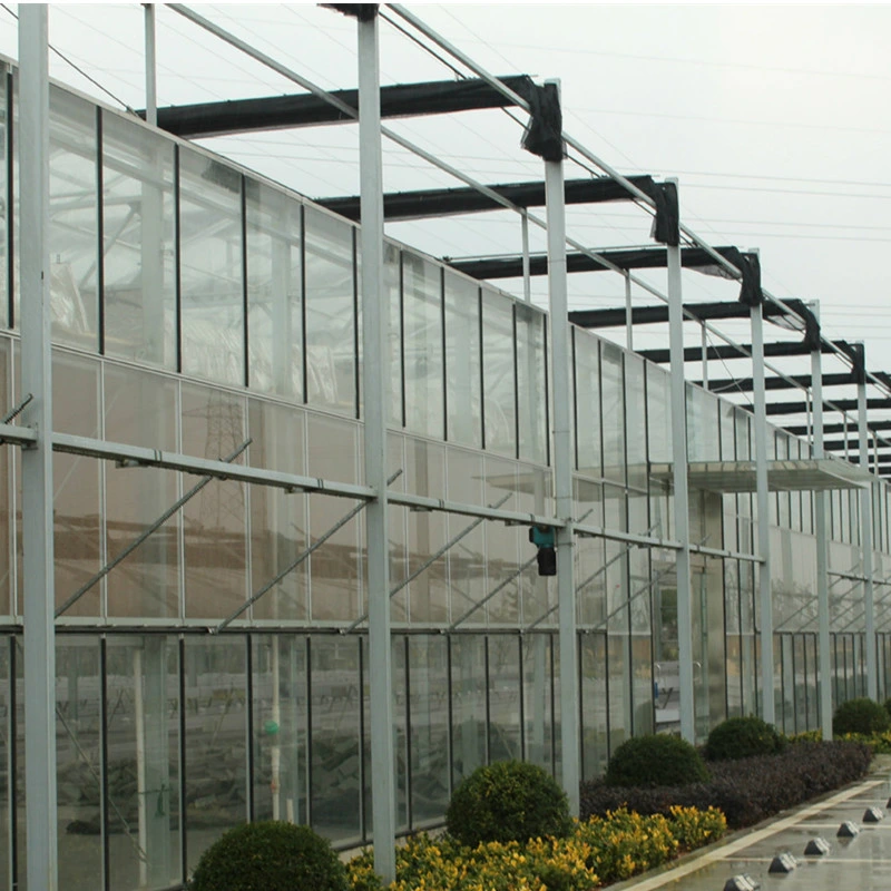 Greenhouse Supplies with Cocopeat Planting System for Poultry and Agriculture