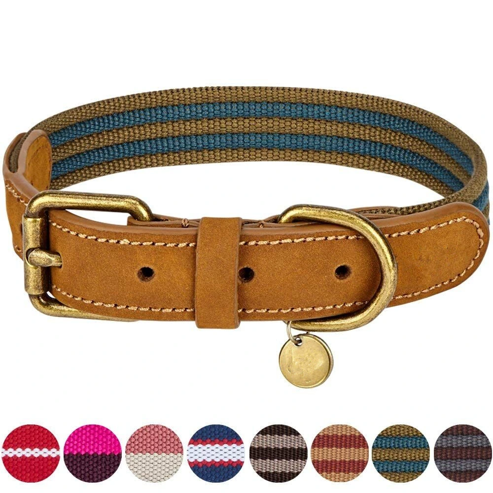 Polyester Fabric and Soft Genuine Leather Webbing Dog Pet Collar