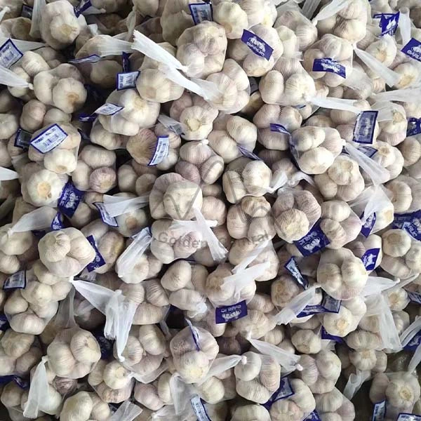 China Hot Sale Fresh Garlic 200g Pack, Normal White Garlic