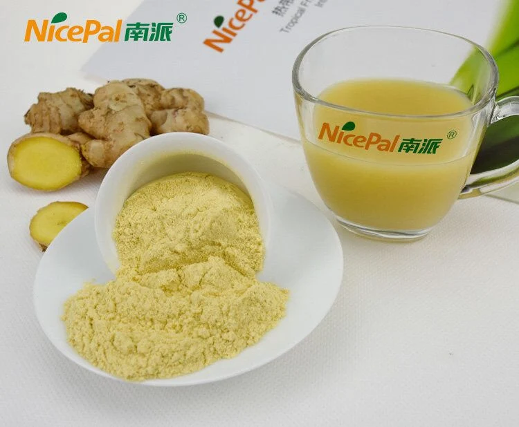 100% Natural Fruit Powder Top Grade Ginger Extract Powder Ginger Powder