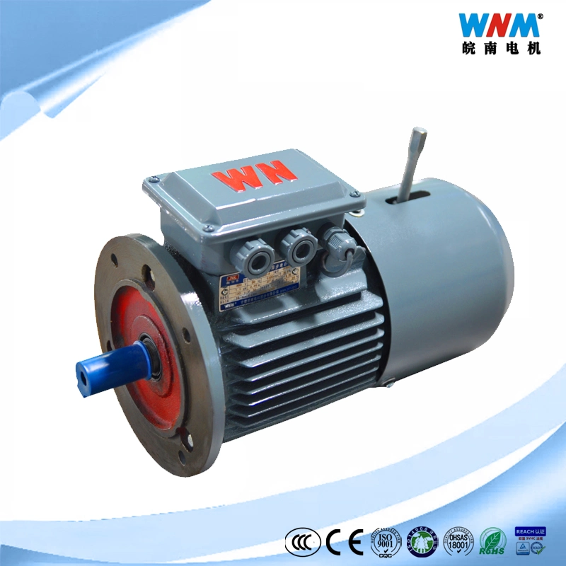 Yxej 0.12~200kw Three Phase AC Induction Electric Speed Control Motor with Electromagnetic Brake for Conveyors Yxej90s-2 1.5kw 2865rpm