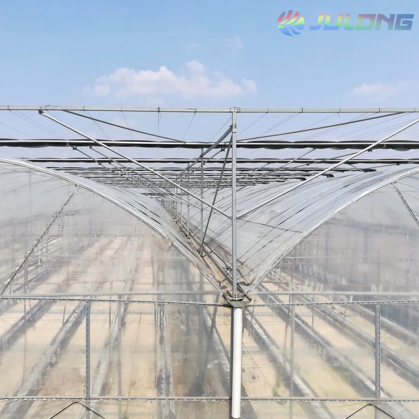 Multi Span Plastic Film Greenhouse for Vegetables/Flowers/Fruits with Complete System/Hydroponic System