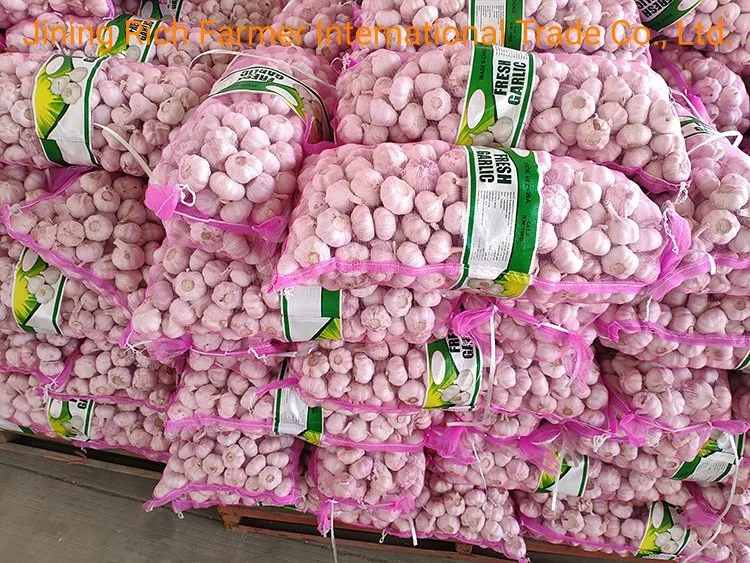 2022 China New Fresh Garlic 5.5 Cm-6.0 Cm in Mesh Bag