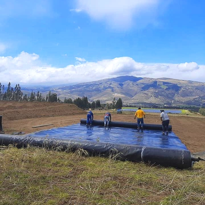 Alta Resistência resistente a UV Geomembrana Árvore de barreira de raiz