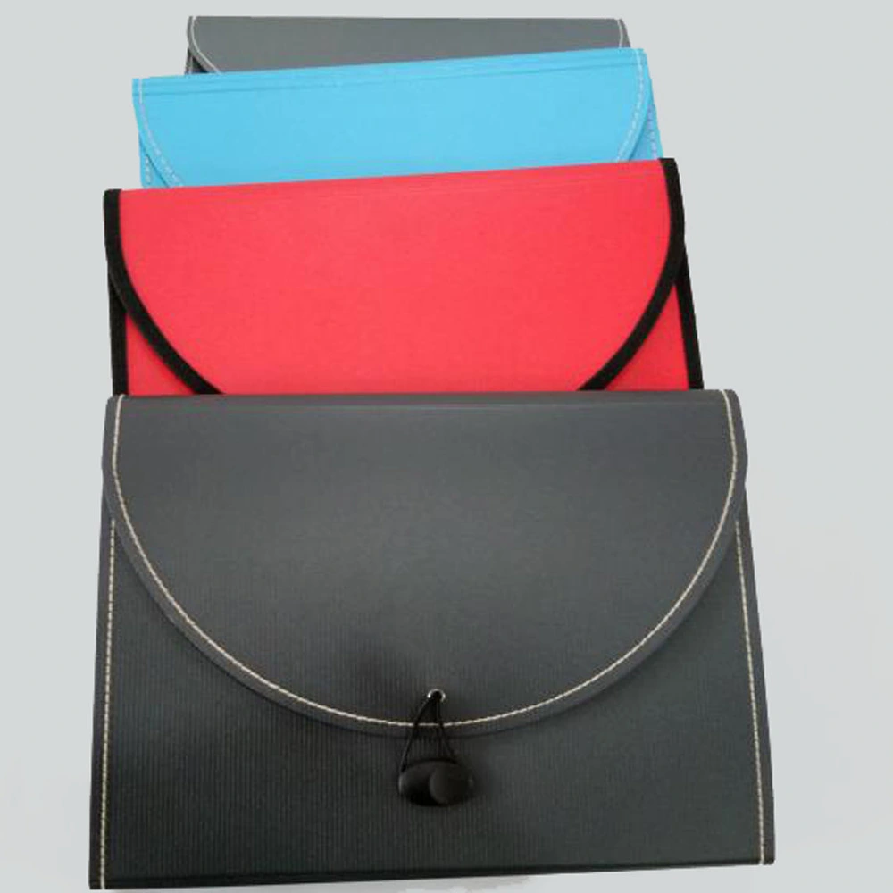 PP Foam File Folder/ File Bag/ Expanding File