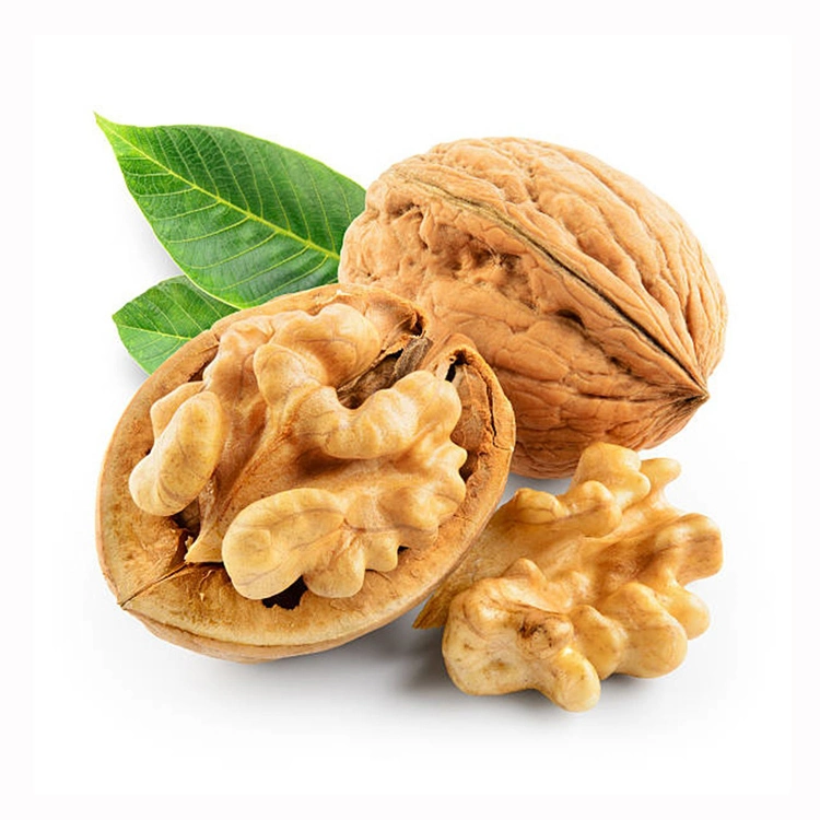 Chinese 185 Type in Shell Wholesale/Supplier Price Quarter Walnuts