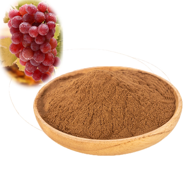 L100% Natural Grape Seed Extract with Cheapest Price